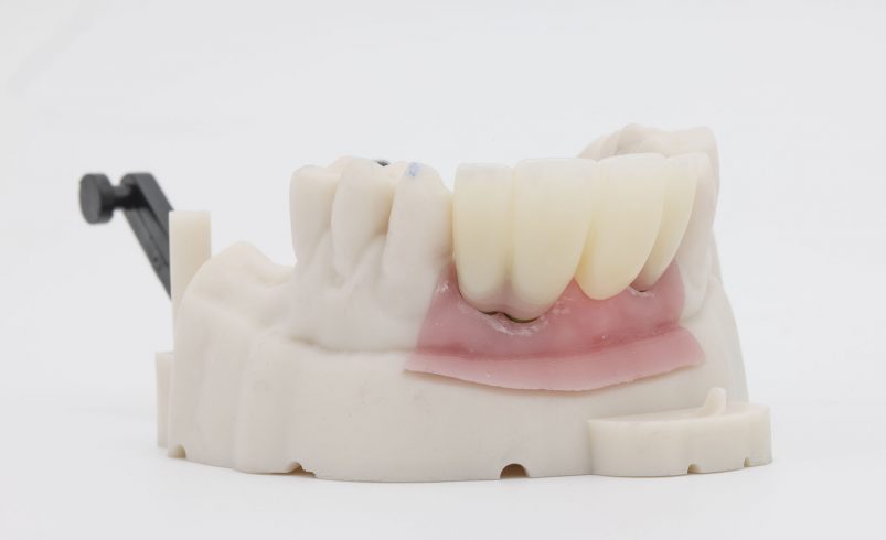 Dandy Labs Product -6
